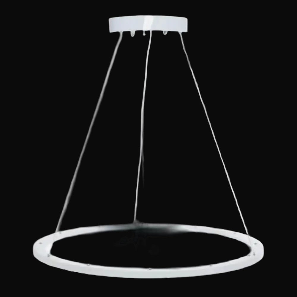 Luminaire DEL circulaire haut/bas 50 W 5000K, 5020 lm, 120 V – câble d'avion 15 pi, canopée et cordon 3 fils – vue 2