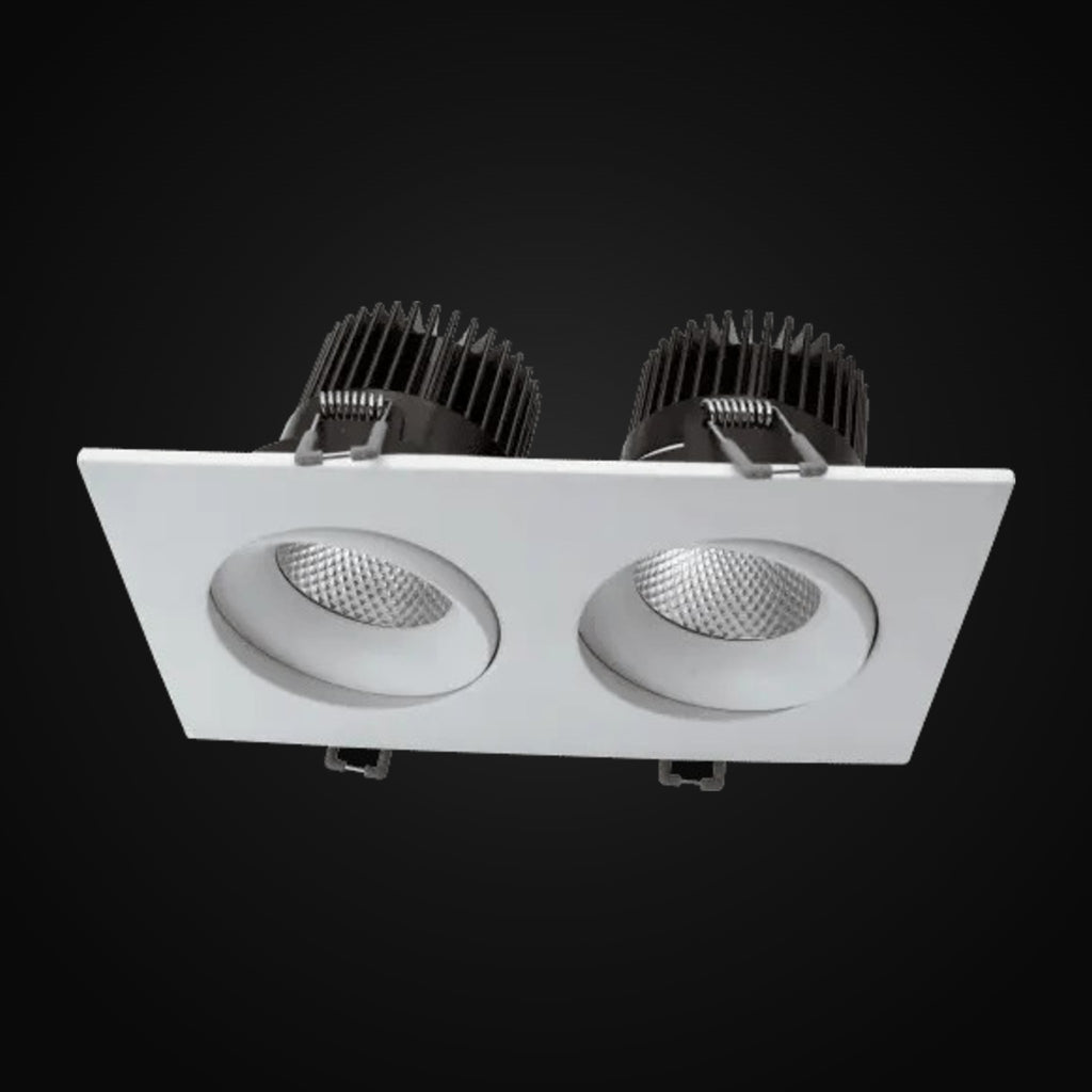 Encastré orientable en retrait 3,5 po 2 têtes 5CCT, blanc