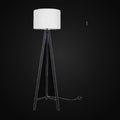 Lampadaire trépied en métal noir givré 63 po H