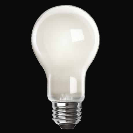 Ampoule A19 à filament laiteuse 8 W – VO-FA19W8-120-30-D-M