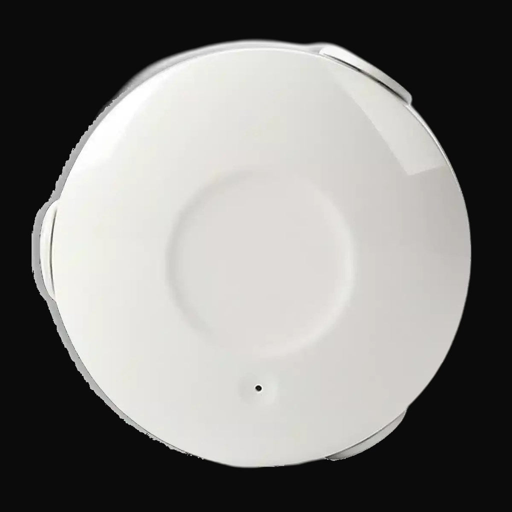 Détecteur de fuite d'eau Wi-Fi intelligent