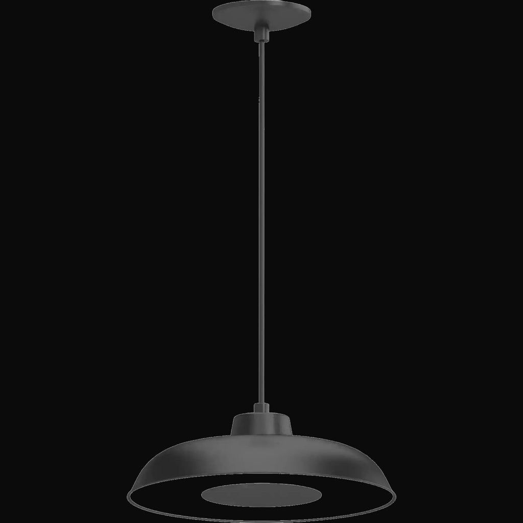 Luminaire intérieur V2124-5 1 lumière DEL intégrée, noir