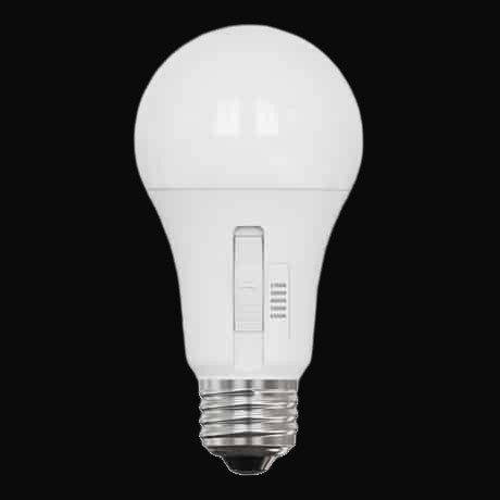 Ampoule A19 10 W – VO-A19W10-120-5Way-S-D