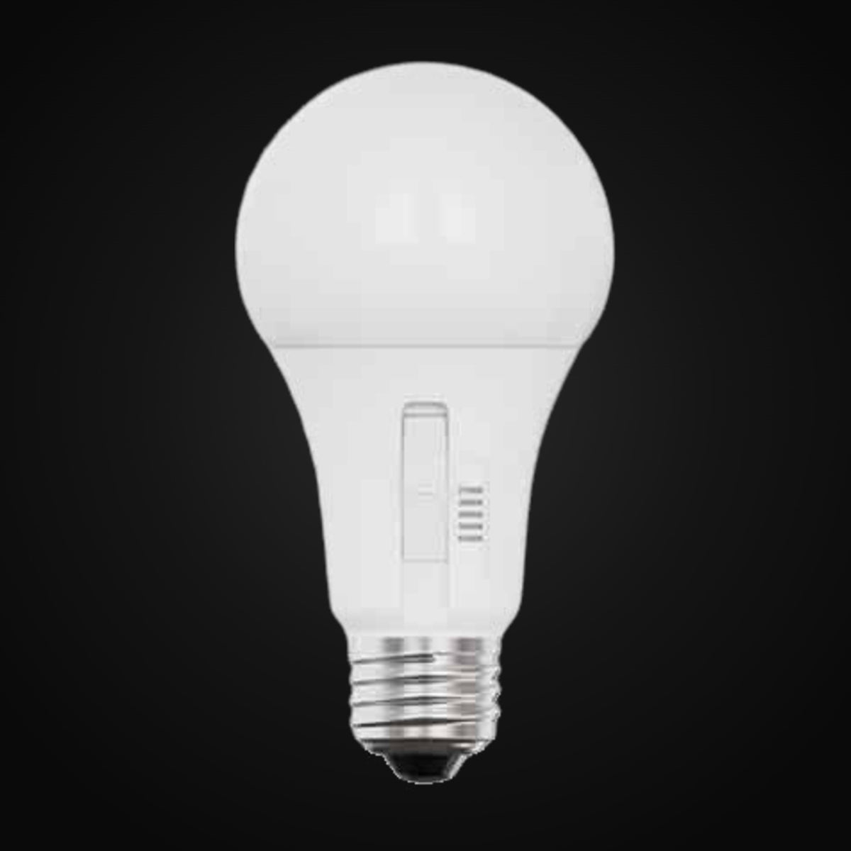 Ampoule A19 17 W – VO-A19W17-120-5Way-S-D