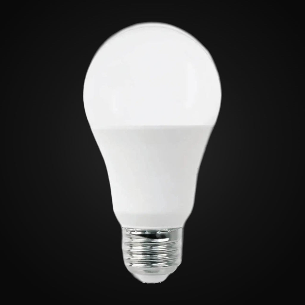 Ampoule DEL A19 17 W 120 V 3000K