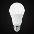 Ampoule DEL A19 17 W 120 V 3000K