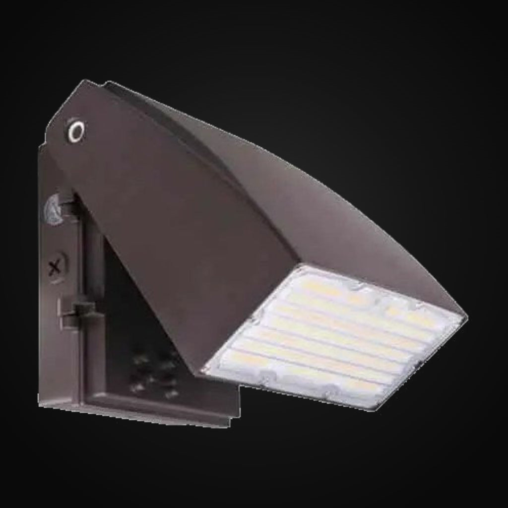 Applique murale extérieure orientable 60 W, ajustable 50/40/30 W, 5000K