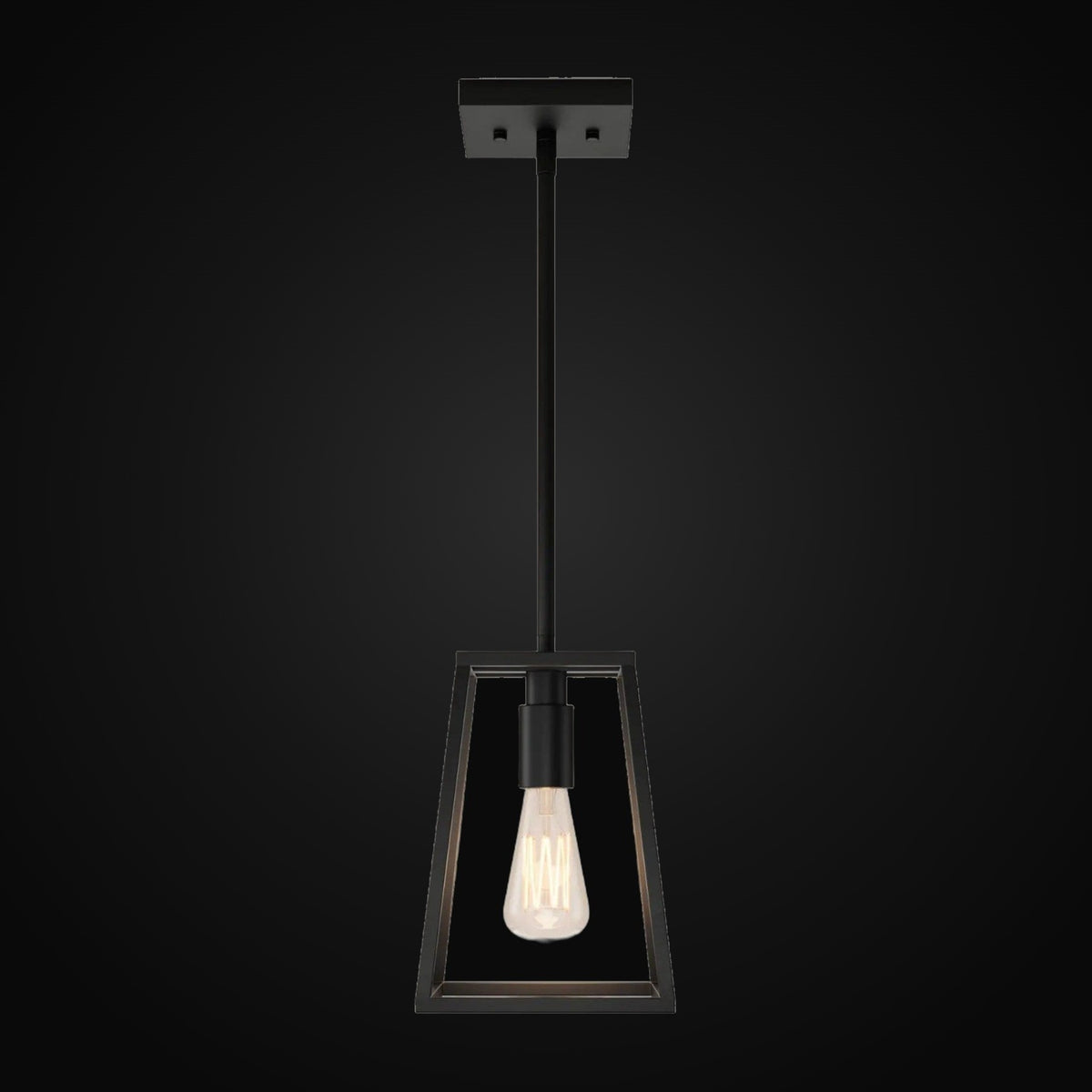 Suspension Carter 1 lumière