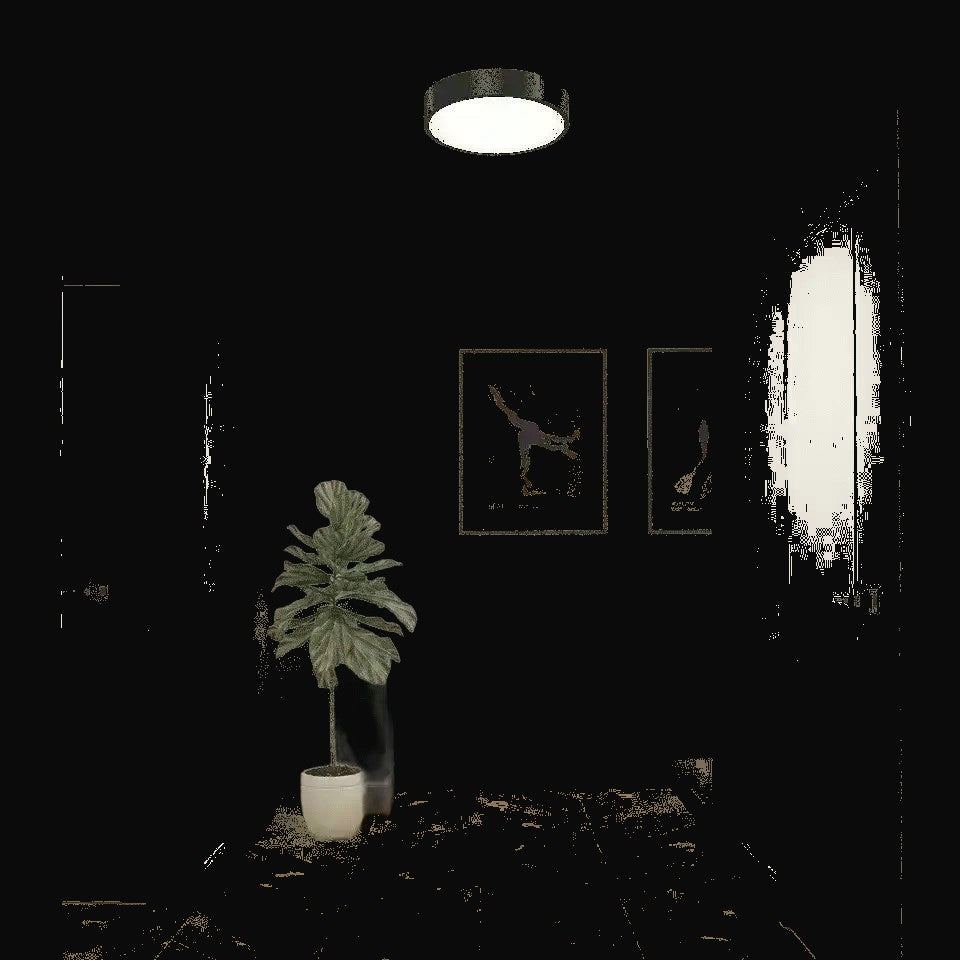 Plafonnier Concerto noir – vue 3