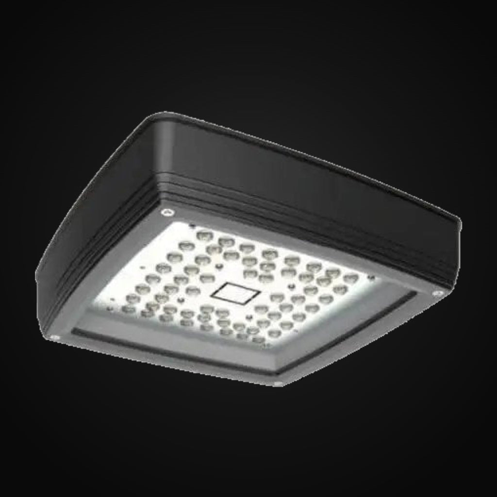 Luminaire de marquise DEL polyvalent à profil bas, 60 W, 5000K, 7030 lm, gradation 0-10 V, 120 V multi