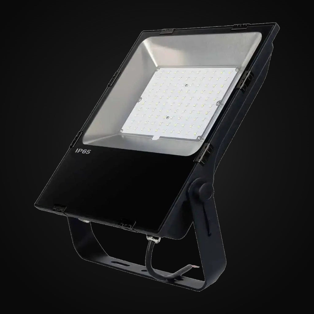 Projecteur multitension 30 W