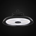 Cloche UFO multitension 200 W, ajustable 180/160 W, 4000K/5000K ajustable