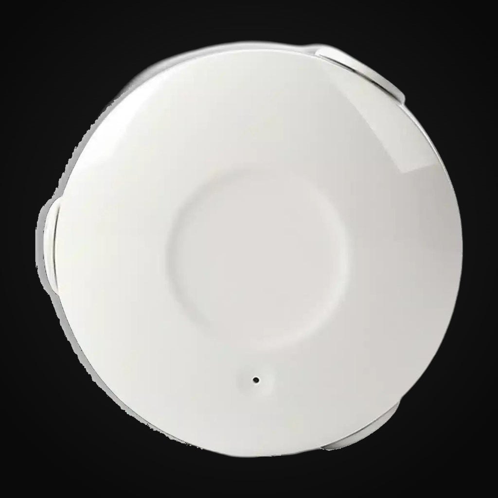 Détecteur de fuite d'eau Wi-Fi intelligent