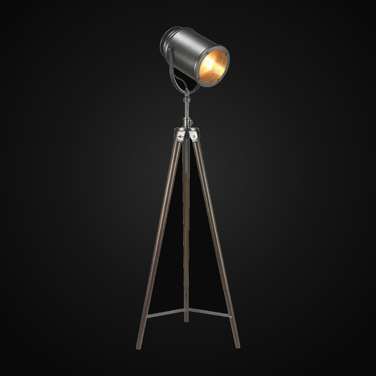 Lampadaire style photographe Taylor