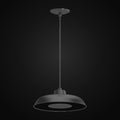 Luminaire intérieur V2124-5 1 lumière DEL intégrée, noir